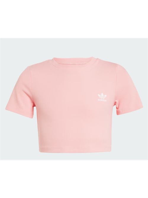 rib crop tee ADIDAS ORIGINAL | JC8441SEPISP